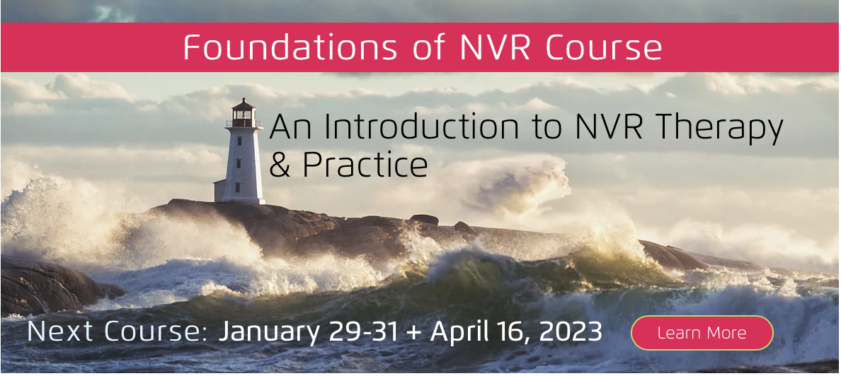 Foundations of NVR Course